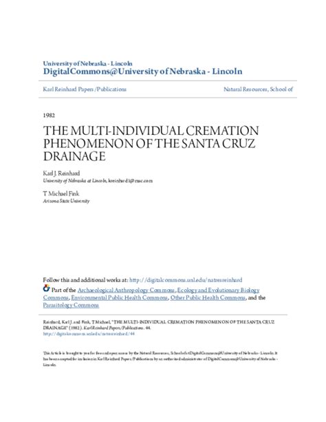 The Healing Properties of the Santa Cruz Occult Water Plant